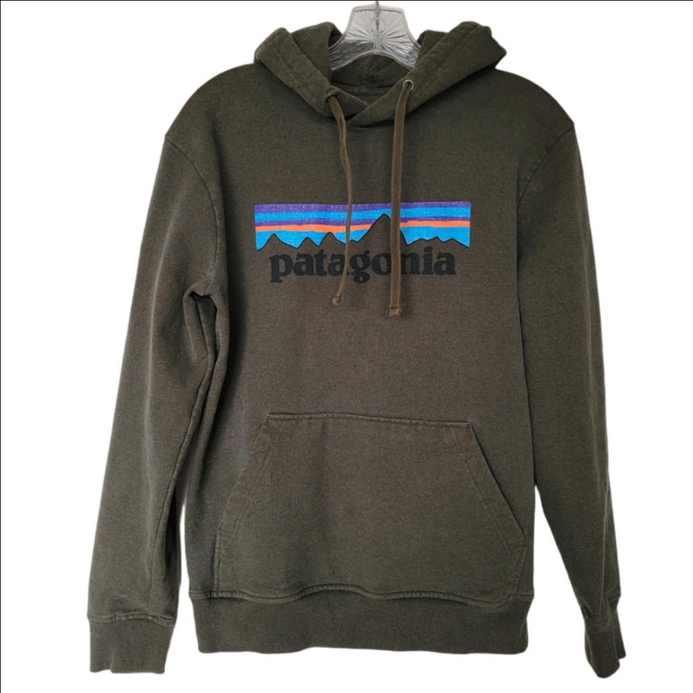 Patagonia Men's Garden Green Pullover Hoodie with Logo